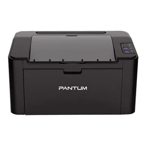 Замена лазера на принтере Pantum P2207 в Екатеринбурге
